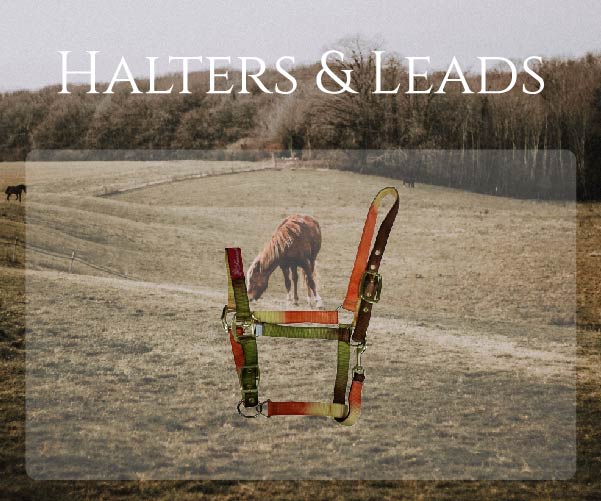 Halters&Leads link