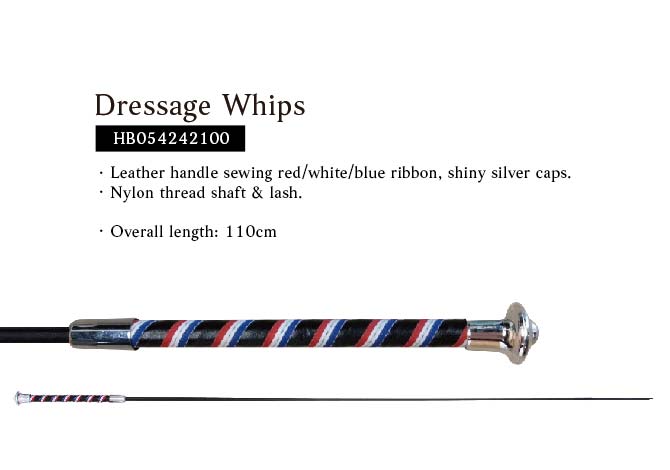 whip describe